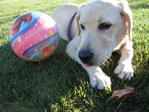 Lola después de un partido de fútbol